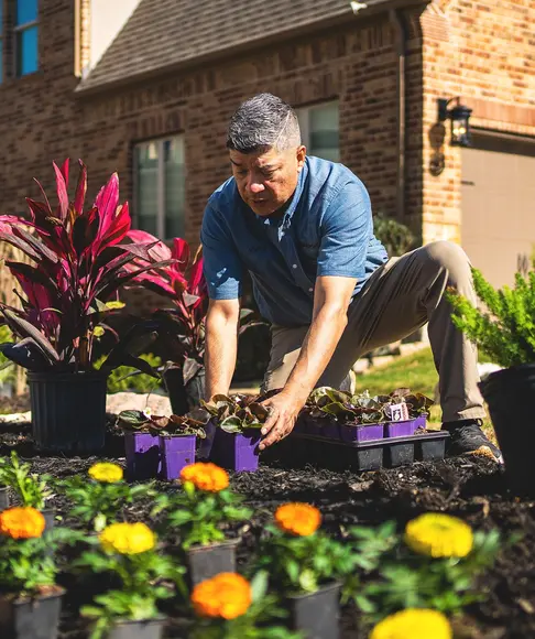 Primero TX Landscaping