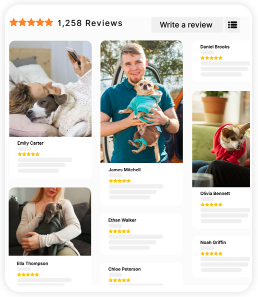 Rich Content Display UI